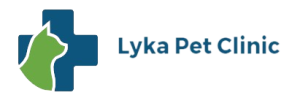 Generating 4K+ Leads per month